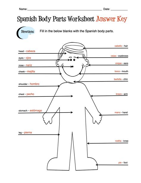 spanish body parts worksheet answers